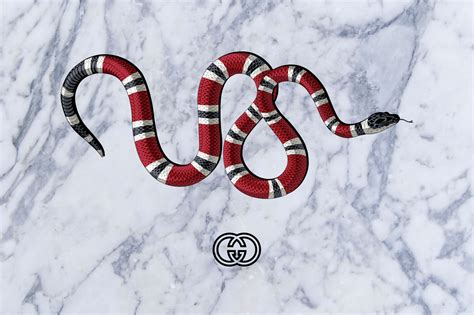 snake tattoo, gucci wallpaper iphone, tattoos 